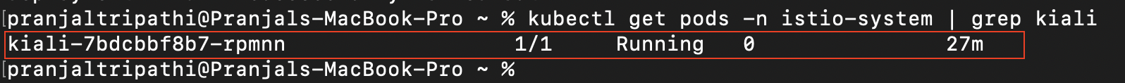 kubectl get pods -n istio-system | grep kiali